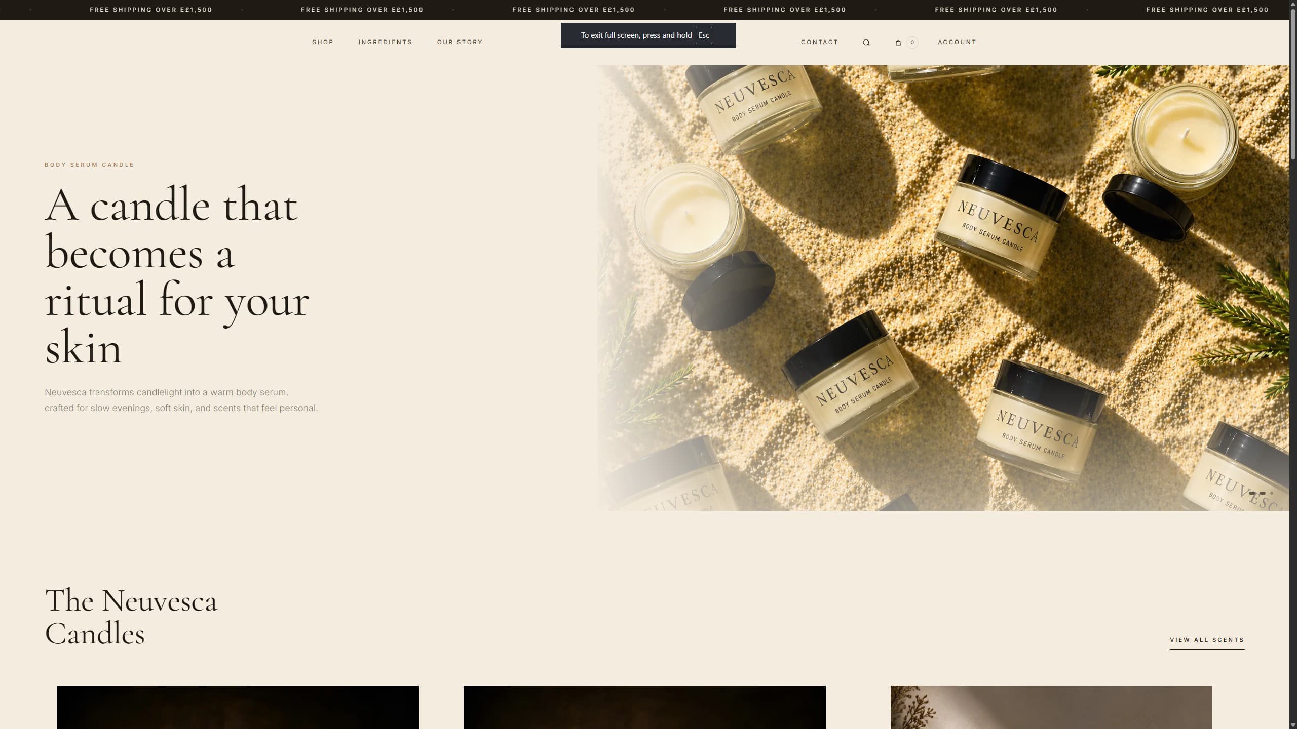 Neuvesca website screenshot